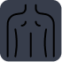 backmuscle img